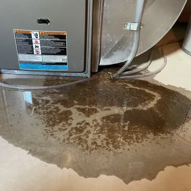 Appliance Leak Cleanup in White Salmon, WA